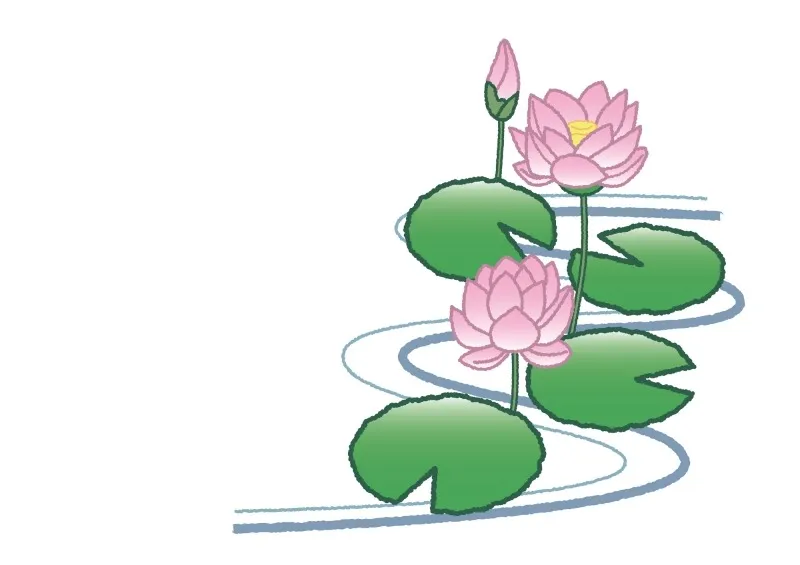 お墓のみとり